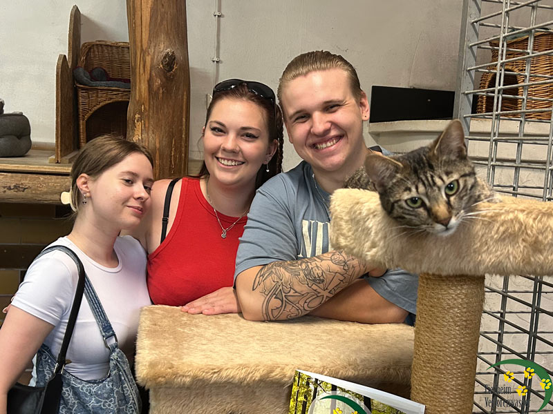 katy katze aus dem tierheim 1