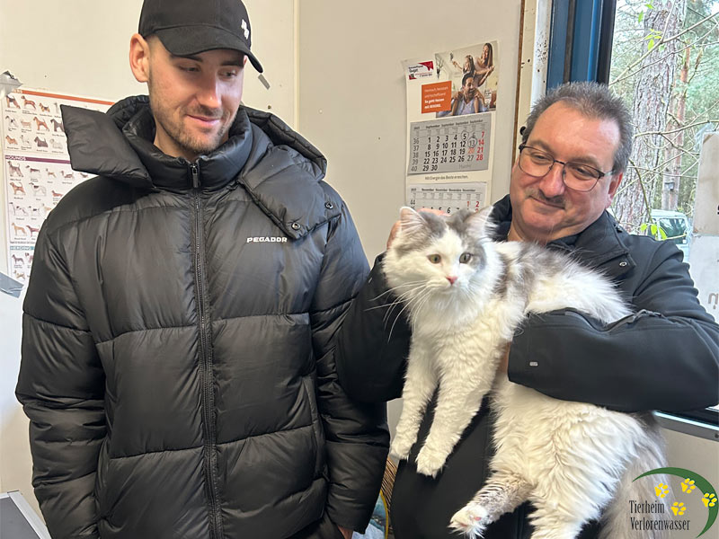 pumba - Katze aus dem Tierheim