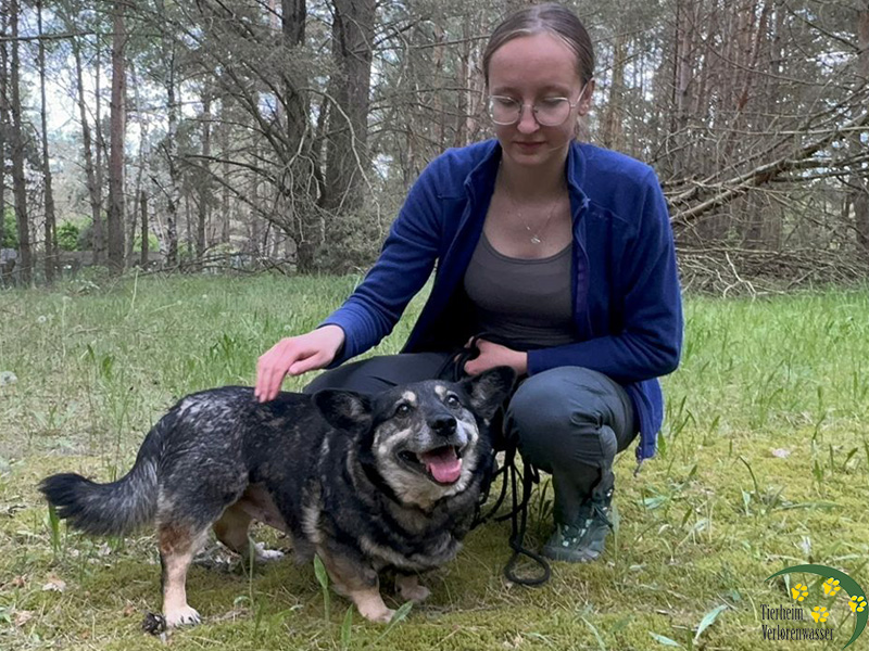 czika - Hund aus dem Tierheim