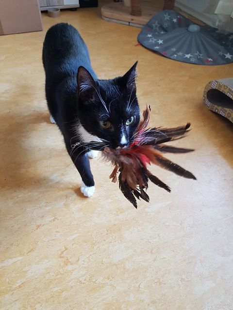hilde 07
